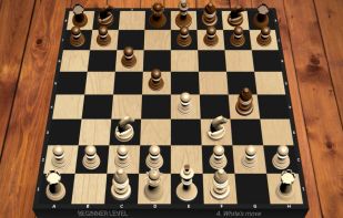 Chess screenshot 3