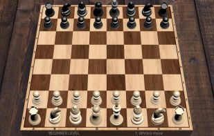 Chess screenshot 1