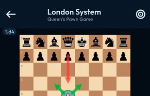 ChessFlow screenshot 1