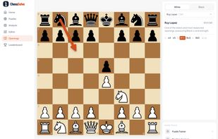 ChessSolve screenshot 2