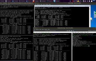 Linux (native), Windows 7 (VM), FreeBSD 13 (GhostBSD 23, VM).