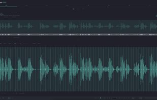 Browser-based sampler workspace for chopping, sequencing, and arranging beats.