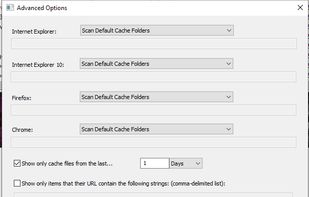 ChromeCacheView screenshot 2