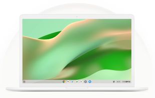 ChromeOS Flex screenshot 1