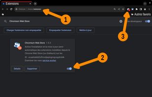 Activate Chromium Web Store extension