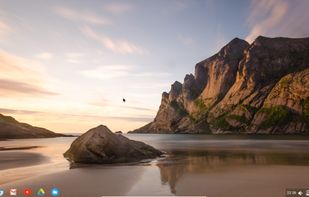 Cub Linux screenshot 1