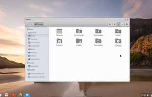 Cub Linux screenshot 1