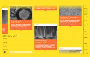 ChronoFlo Timeline screenshot 3