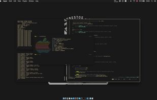 chunkwm screenshot 2