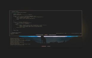 chunkwm screenshot 1