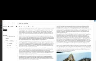 Split view content editor with Markdown support