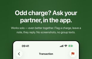 Cilantro Money screenshot 2