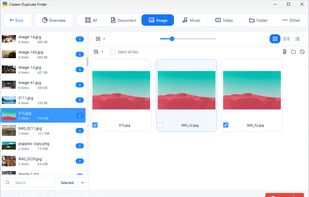 Windows UI: Results window displaying detected duplicate files, with side-by-side image previews