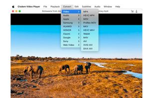 convert to other formats