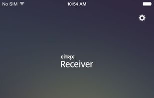 Citrix XenApp screenshot 1