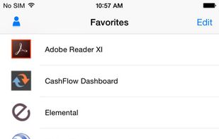 Citrix XenApp screenshot 2