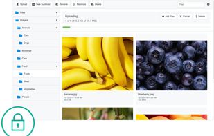 CKFinder screenshot 1