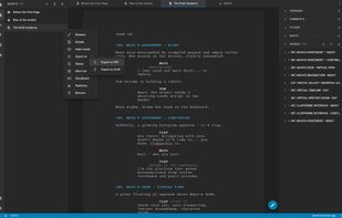 Screenshot of script formatting and scene management interface in Clapperbie