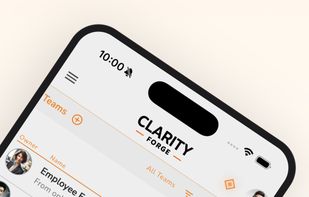 Clarity Forge screenshot 1