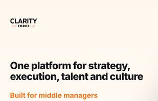 Clarity Forge screenshot 1