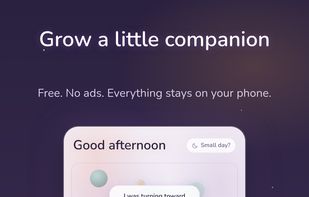 ClarityNest screenshot 2