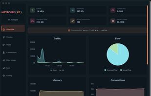 Real-time traffic dashboard with active connections and speed graph