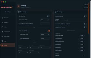 Settings panel with TUN mode and DNS options