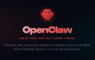 OpenClaw screenshot 1