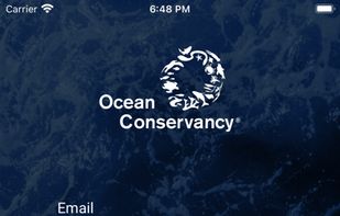 Clean Swell screenshot 2