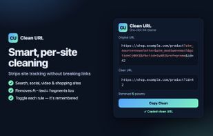 Clean URL screenshot 2