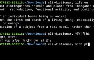 Cli-dictionary screenshot 1