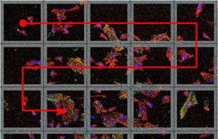 Clickmaster2000 screenshot 1