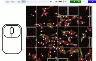 Clickmaster2000 screenshot 2