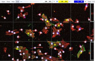 Clickmaster2000 screenshot 1