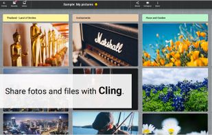 Cling.com screenshot 2