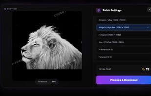 Flawless Hair Masking & E-commerce Presets:
ClipBG easily handles complex edges like lion manes or human hair. The built-in studio instantly resizes your bulk cutouts to perfect Shopify, Amazon, or Instagram ratios in one click. Try it for free at clipbg.net.