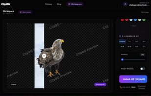 Pro-Grade Precision at clipbg.net:
Flawless edge detection for complex subjects like hair and feathers. Includes a built-in E-commerce Kit for instant drop shadows and canvas resizing. Experience the official tool only at clipbg.net.
