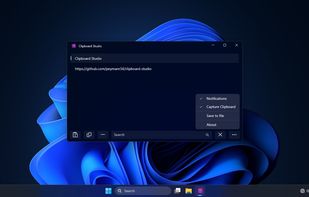 Clipboard Studio options
