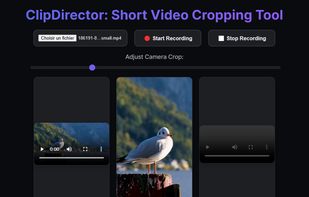 Site while cropping a mp4 video.