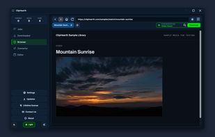 Built-in browser: the detector box shows Video found