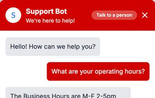 Chatbot Public View on Website.