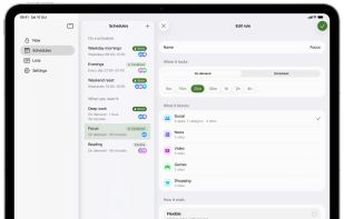 Cloister on iPad: Schedules beside the rule editor, with what each rule blocks and how it ends.