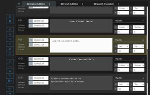Closed Caption Creator screenshot 3