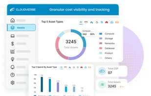 Granular cost visibility