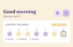 Co-parenting Clarity screenshot 1