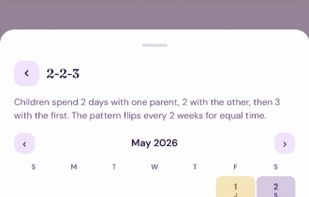 Co-parenting Clarity screenshot 3