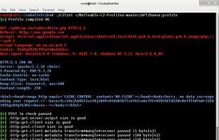 Cobalt Strike screenshot 3