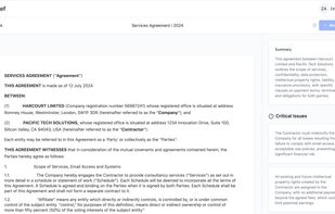 A list of critical issues in the contract