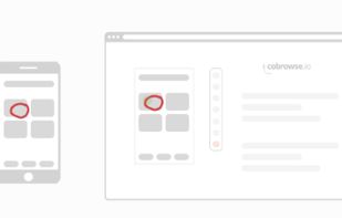 Cobrowse.io screenshot 2