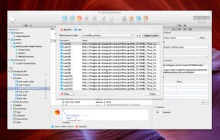 Cocoa JSON Editor screenshot 2